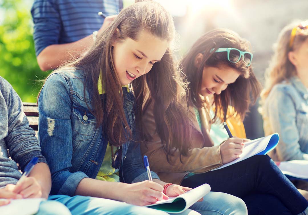 Students studying in the quad