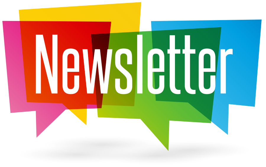 MPHS Newsletter Vol.2 / Noticias de MPHS Vol.2