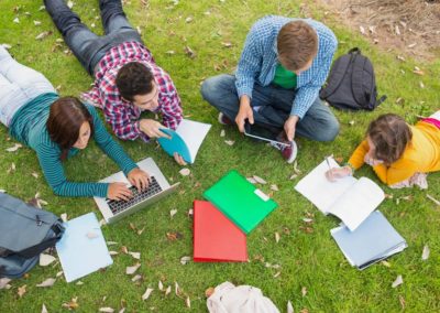 group of students studying outside on the grass